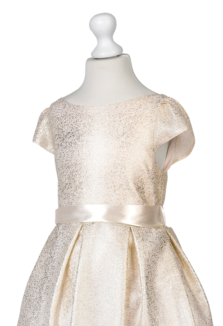 beautiful gold girl's dress