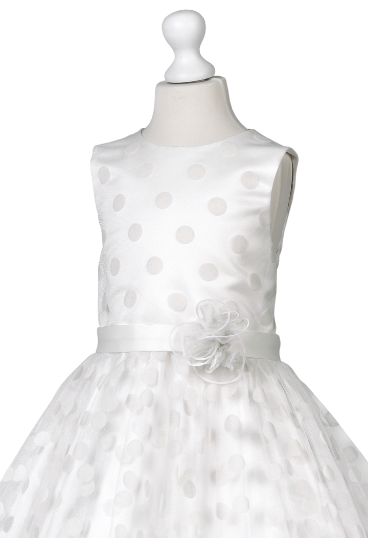 sukienka śmietankowa z tiulem kropeczki