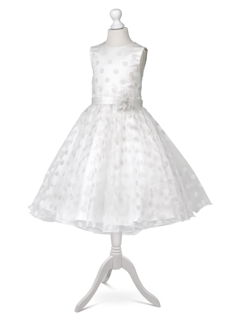 schönes gepunktetes Tüllkleid