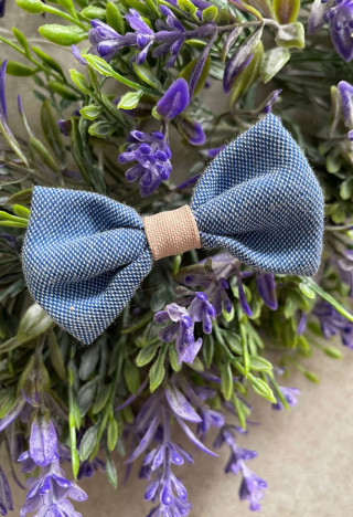 Boys' bow tie, blue and beige