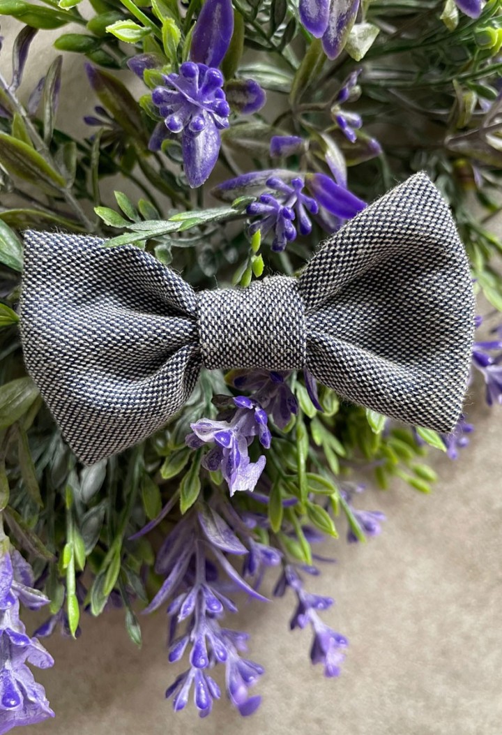 Fliege für einen Jungen