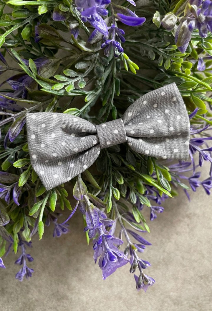 Graue Fliege für Jungen