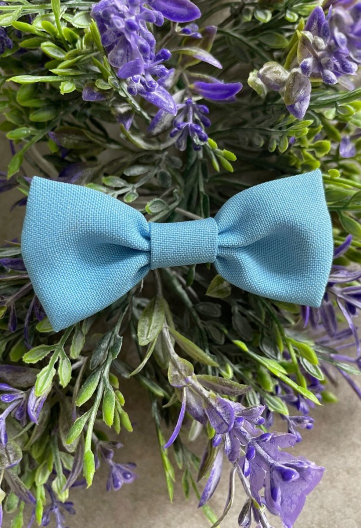 Fliege für Jungen blau