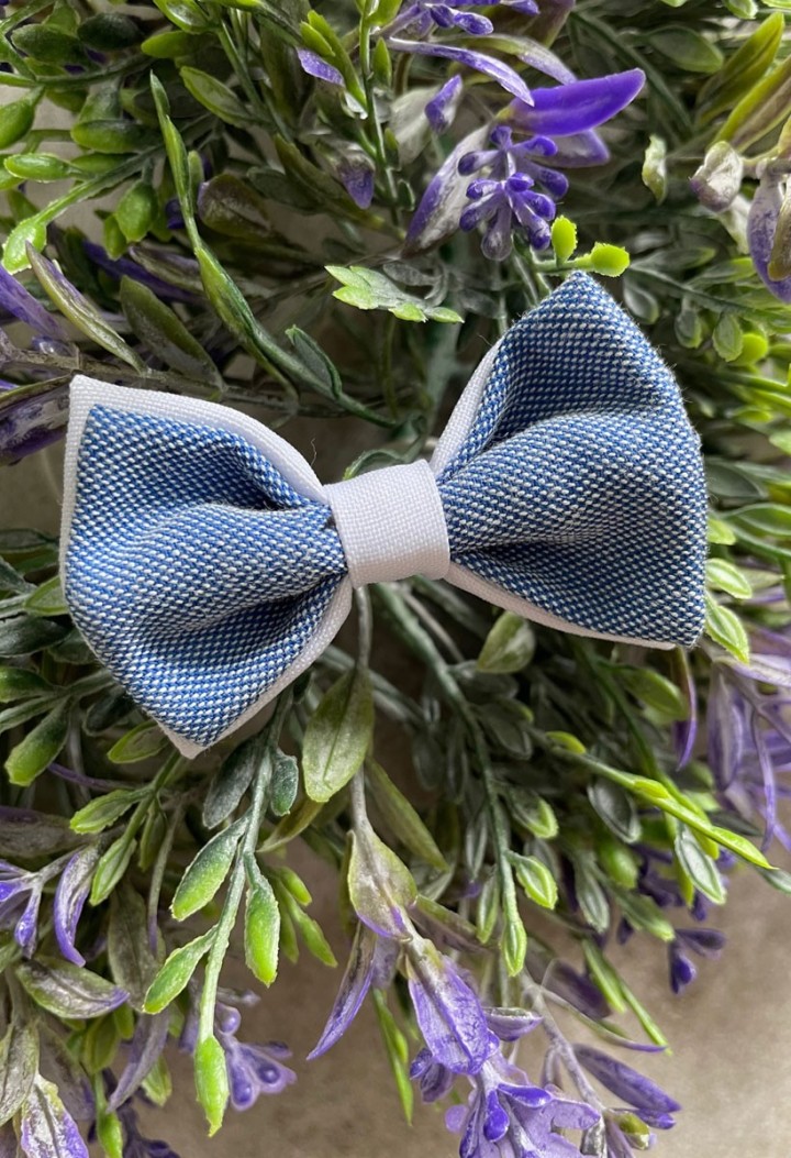 boy's white and blue bow tie