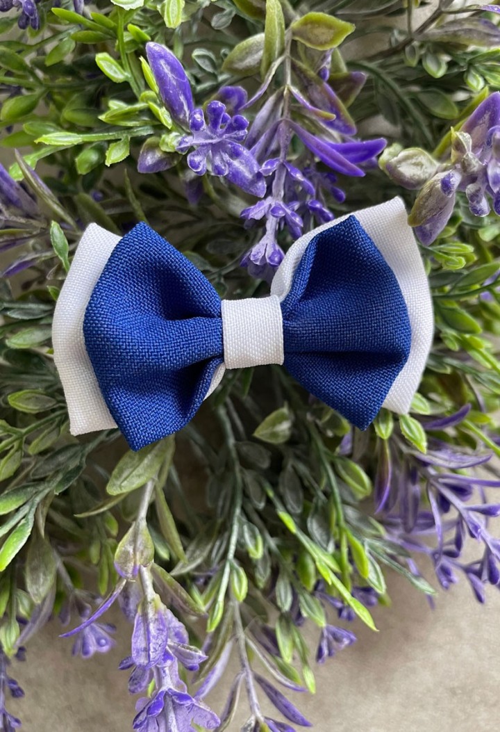 Fliege für Jungen in Weiß und Kornblume